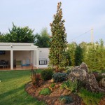 Casa-Radu-4