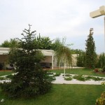 Casa-Radu-8